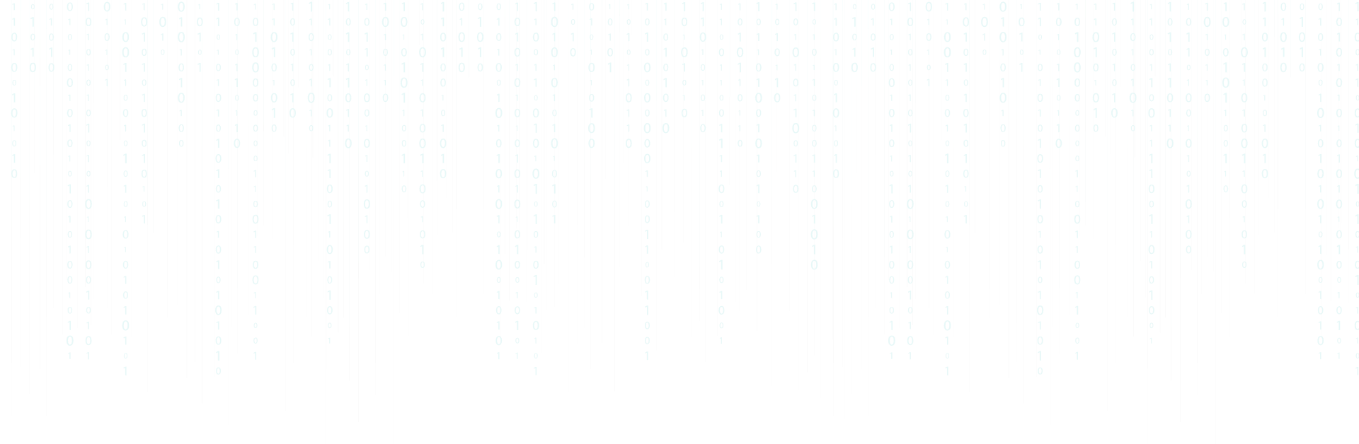 Software{&}Website Developer