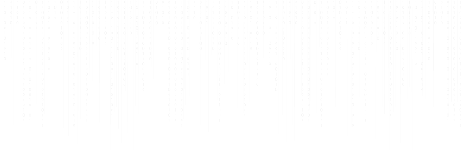 Software{&}Website Developer